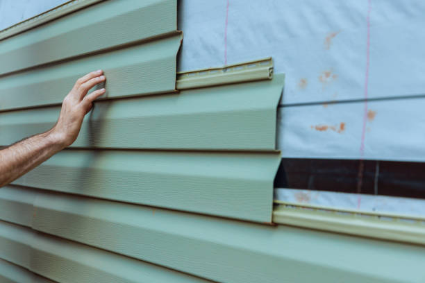 Best Fascia and Soffit Installation  in Ankeny, IA
